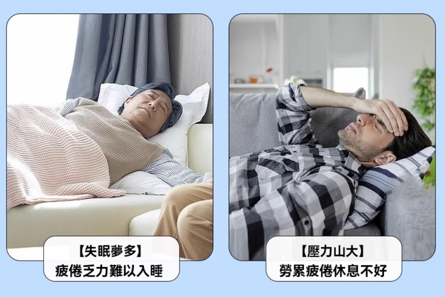 2e18eb9f72428d187a2695a4faa3260.png